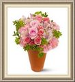 Tropical Flowers Direct, Po Box 406, Hana, HI 96713, (808)_248-7348
